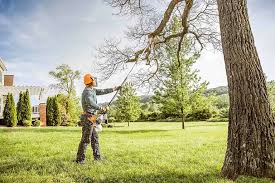 Best Tree Preservation Services  in Lla Lla East, WA